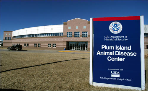 Plum-island, лаборатория 257